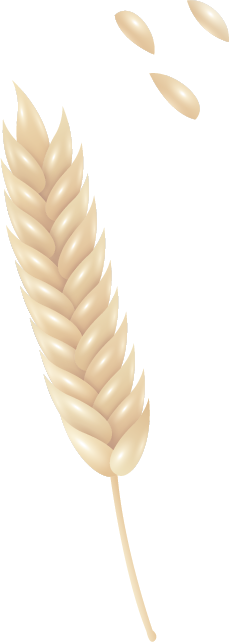 formă decorativă
